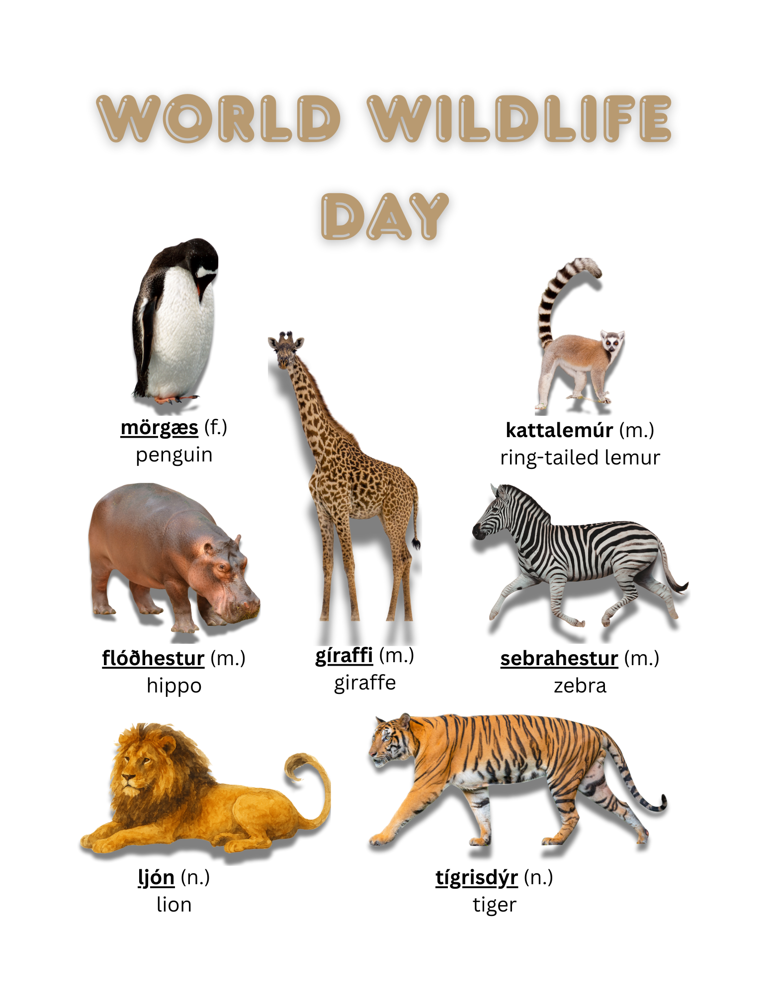 World Wildlife Day - Icelandic